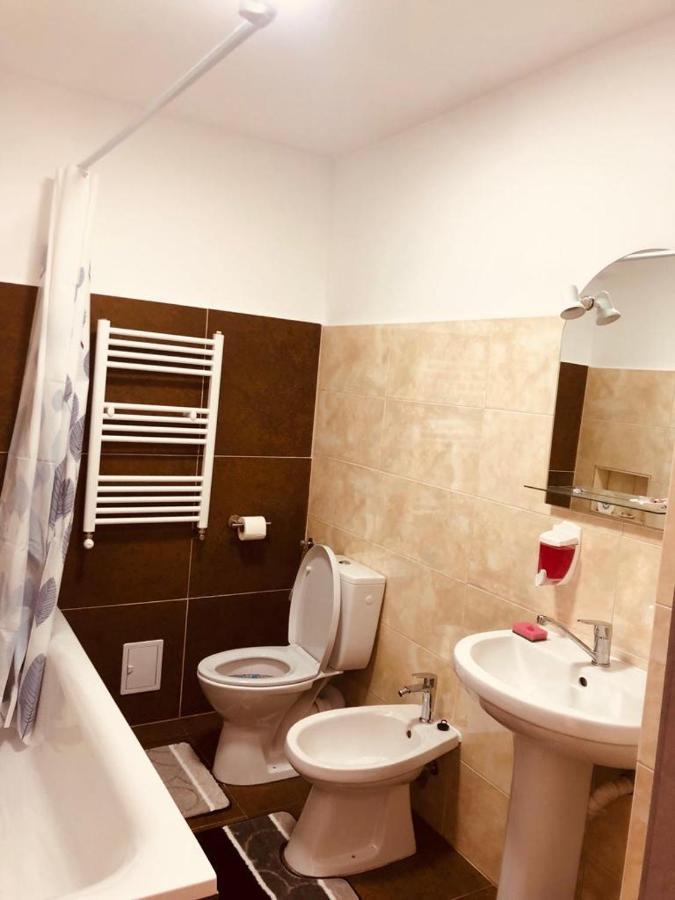 Narcisa Apartment Piatra Neamt Exterior photo